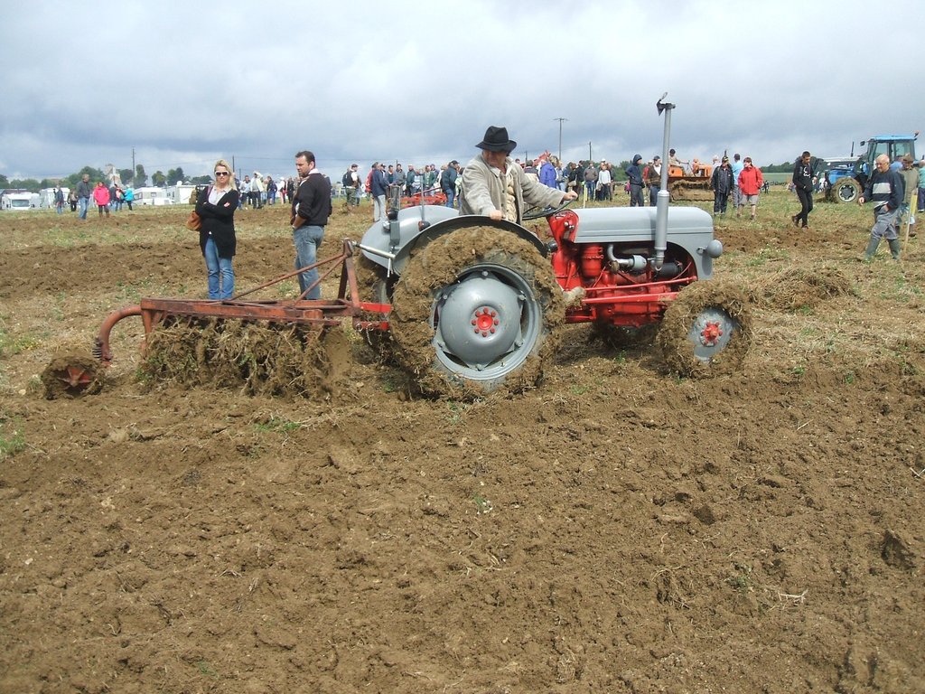 DSCF4740 2.jpg (1.25 Mio) Consulté 20830 fois DSCF4740 2.jpg