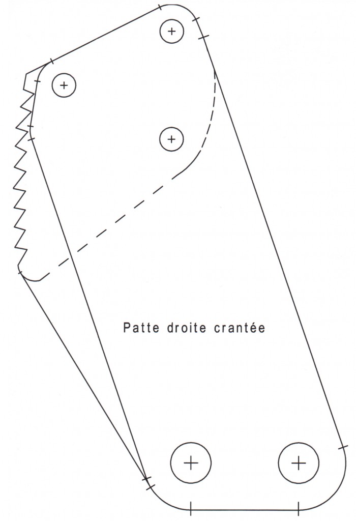 patte droite pef22.jpg