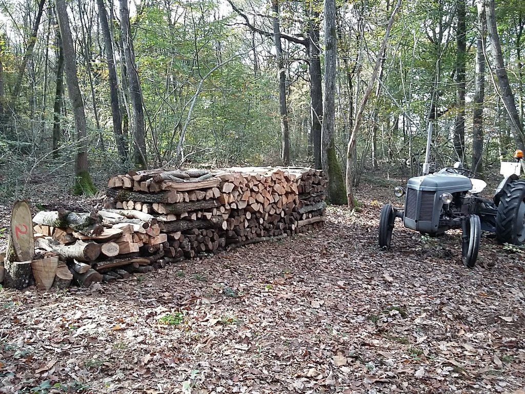 20171104_120244.jpg