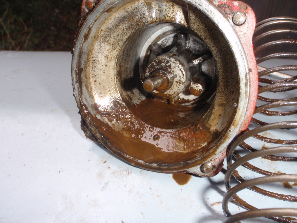 PA260080.JPG