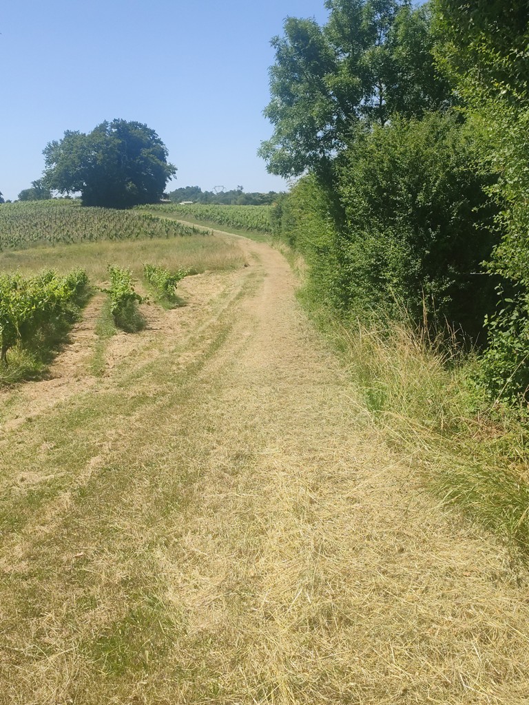 2025-06-17-15-28-38-198.jpg