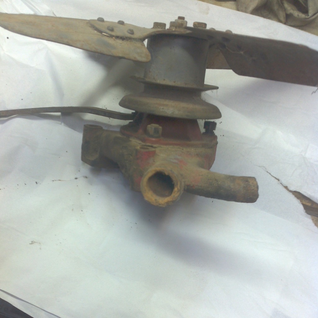 IMG_20131004_052157.jpg